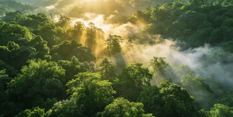 湛江肺癌172基因检测图片1