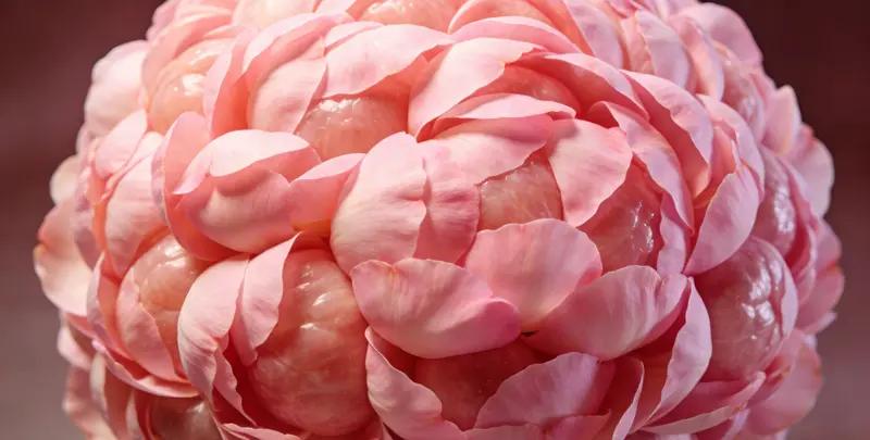 湛江BRCA1/2乳腺癌卵巢癌基因检测图片1